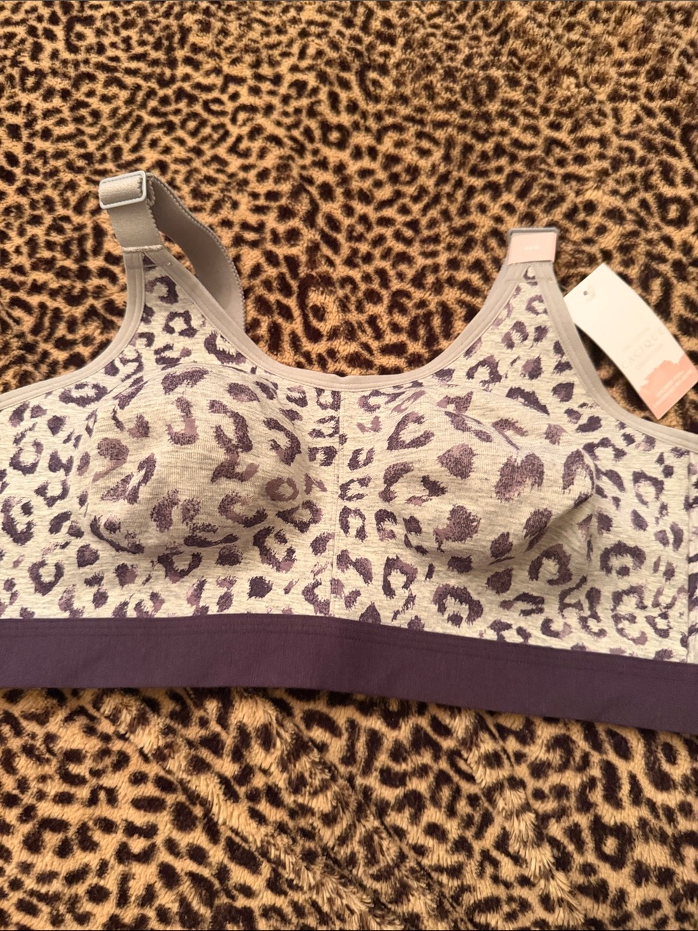 Cacique Wireless Leopard-Print Bralette in Purple and Light Gray